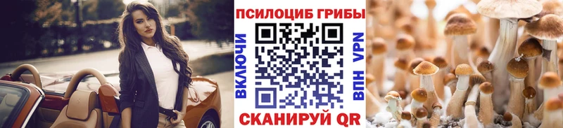 Купить где  Анива  Галлюциногенные грибы GOLDEN TEACHER 